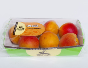 Albicocca Coccola Alce Nero