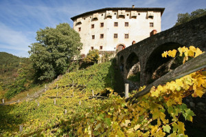 Vite-Versoaln-e-Castel-Katzenzungen