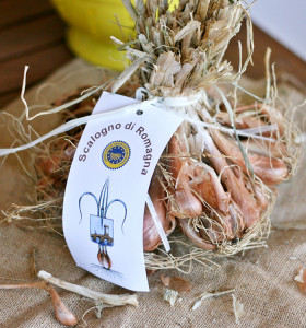 scalogno-di-romagna
