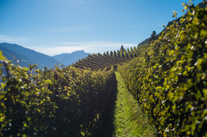 Immagine Falkenstein