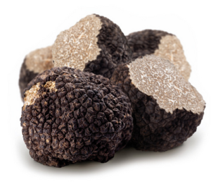 tartufo_nero_estivo_ALLEGRO