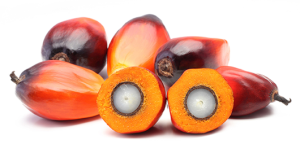 olio palma03